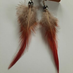 Boucles d’oreilles Pinssi