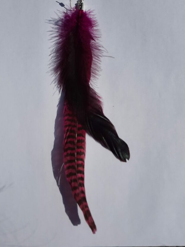 Faisan fushia